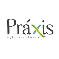 administrador, Autor em Praxis Sistemica